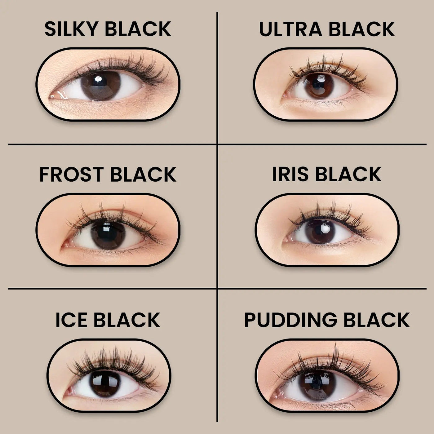 Frost Black MAGNETIC LASH KIT