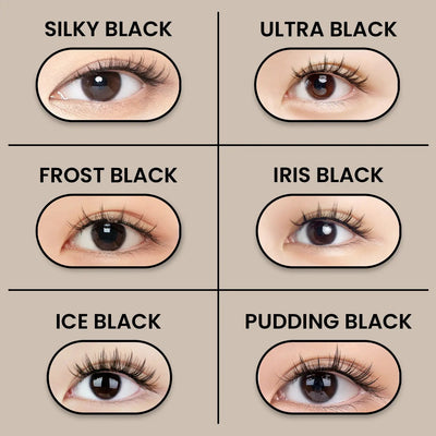 Ice Blacd MAGNETIC LASH KIT